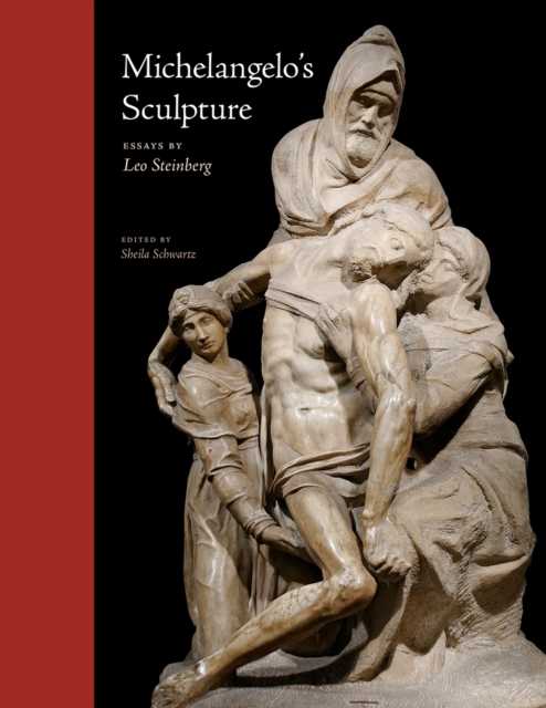 Michelangelo's Sculpture, Hardback Book