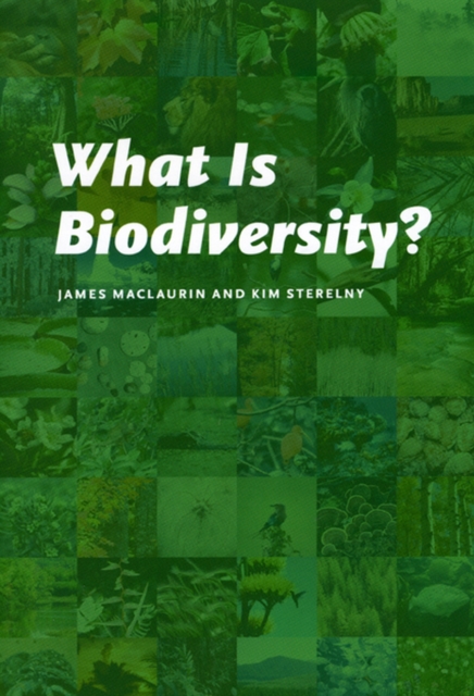 What Is Biodiversity?, Paperback / softback Book