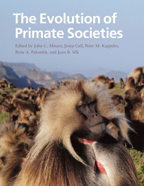 The Evolution of Primate Societies, Paperback / softback Book