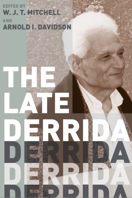 The Late Derrida, Paperback / softback Book