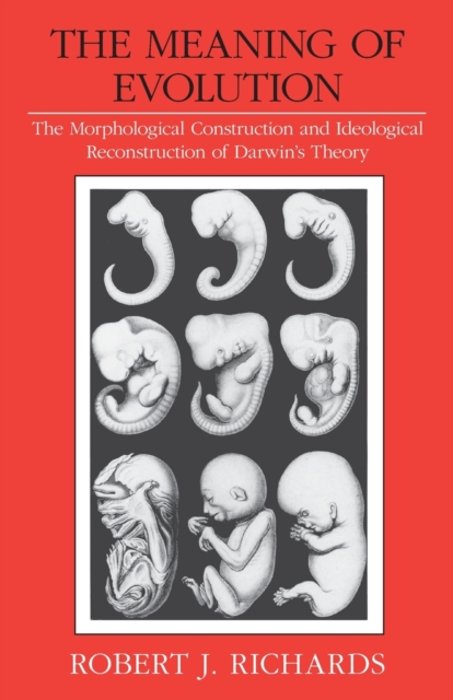 The Meaning of Evolution : The Morphological Construction and Ideological Reconstruction of Darwin's Theory, Paperback / softback Book