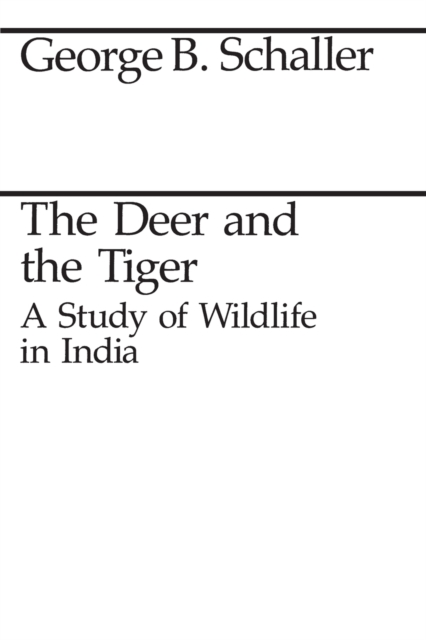 The Deer and the Tiger, Paperback / softback Book