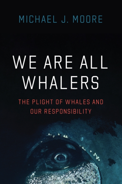 We Are All Whalers : The Plight of Whales and Our Responsibility, Hardback Book