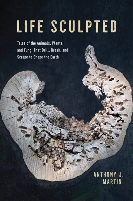 Life Sculpted : Tales of the Animals, Plants, and Fungi That Drill, Break, and Scrape to Shape the Earth, EPUB eBook