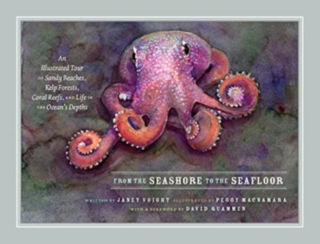 From the Seashore to the Seafloor : An Illustrated Tour of Sandy Beaches, Kelp Forests, Coral Reefs, and Life in the Ocean's Depths, Hardback Book