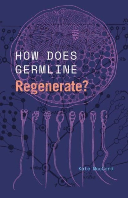 How Does Germline Regenerate?, Paperback / softback Book