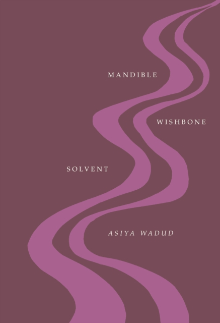 Mandible Wishbone Solvent, EPUB eBook