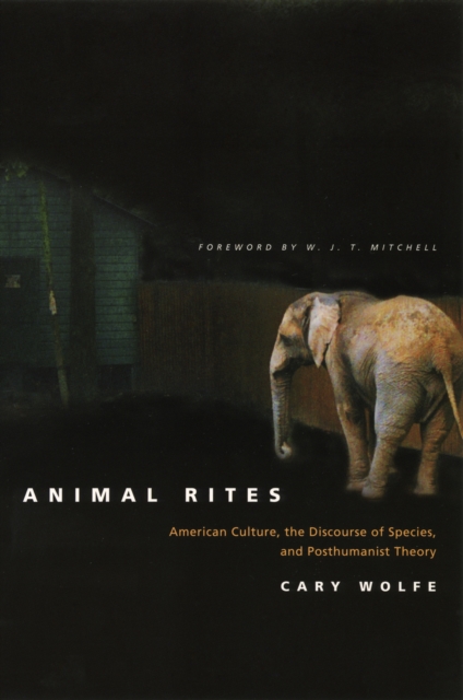 Animal Rites : American Culture, the Discourse of Species, and Posthumanist Theory, PDF eBook