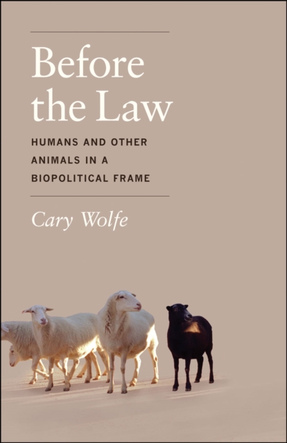 Before the Law : Humans and Other Animals in a Biopolitical Frame, Hardback Book