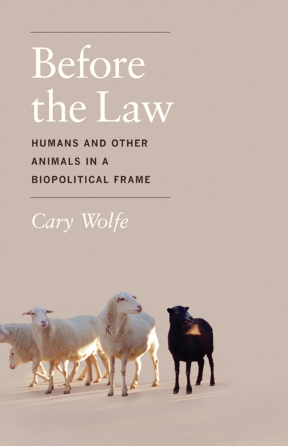 Before the Law : Humans and Other Animals in a Biopolitical Frame, EPUB eBook