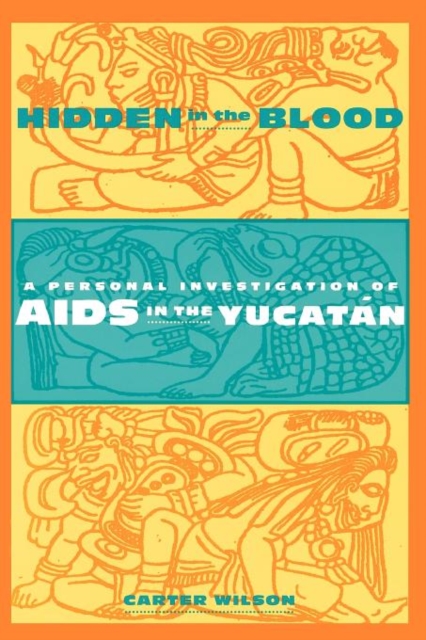 Hidden in the Blood : A Personal Investigation of AIDS in the Yucatan, Paperback / softback Book