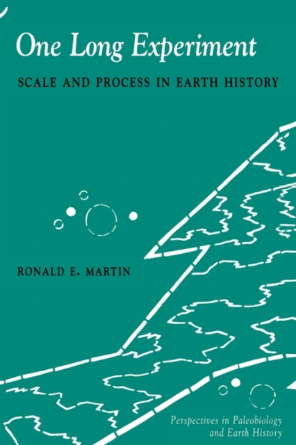 One Long Experiment : Scale and Process in Human History, Paperback / softback Book