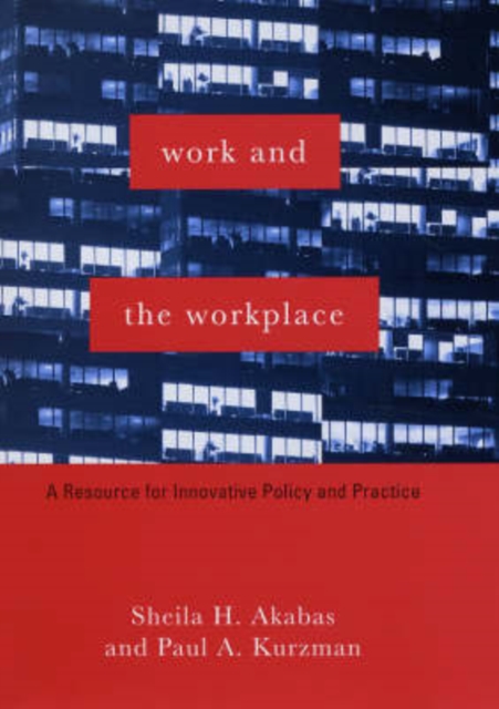 Work and the Workplace : A Resource for Innovative Policy and Practice, Hardback Book
