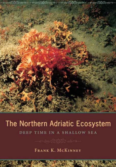 The Northern Adriatic Ecosystem : Deep Time in a Shallow Sea, Hardback Book
