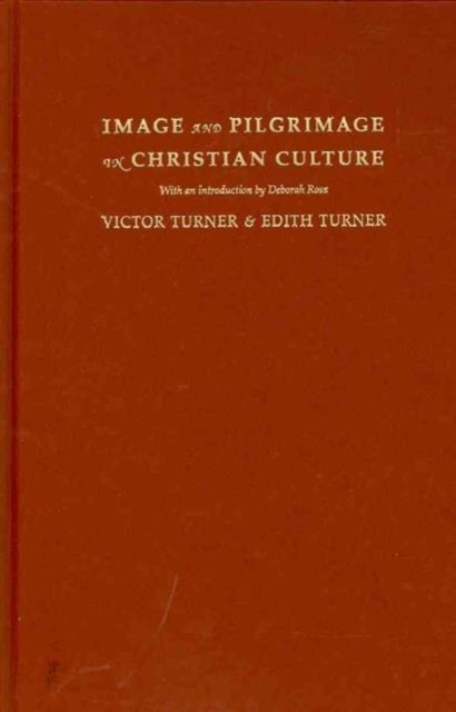 Image and Pilgrimage in Christian Culture, Hardback Book