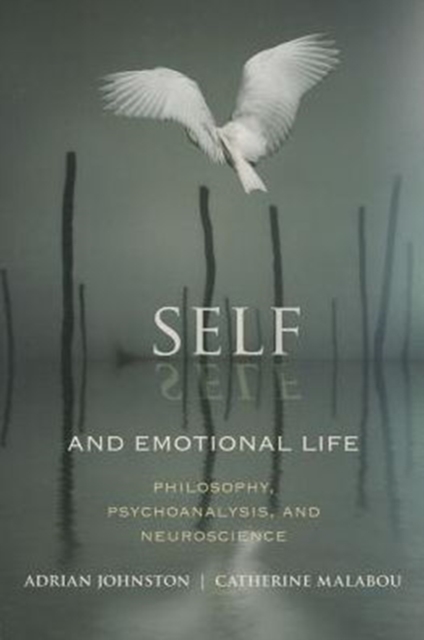 Self and Emotional Life : Philosophy, Psychoanalysis, and Neuroscience, Paperback / softback Book