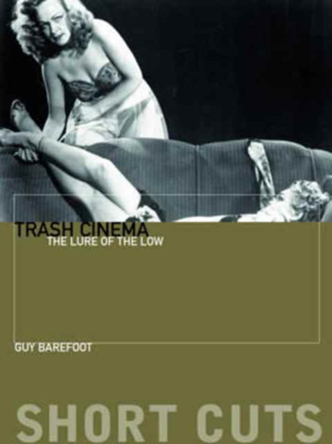 Trash Cinema : The Lure of the Low, Paperback / softback Book