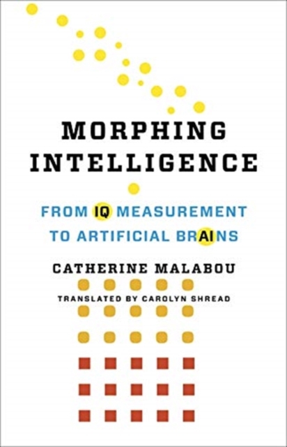 Morphing Intelligence : From IQ Measurement to Artificial Brains, Paperback / softback Book