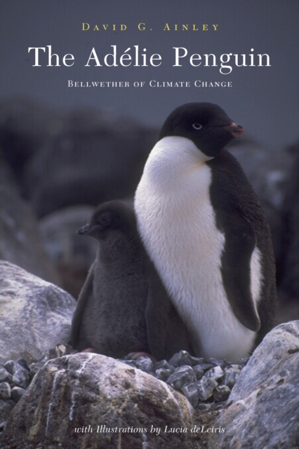 The Adelie Penguin : Bellwether of Climate Change, EPUB eBook
