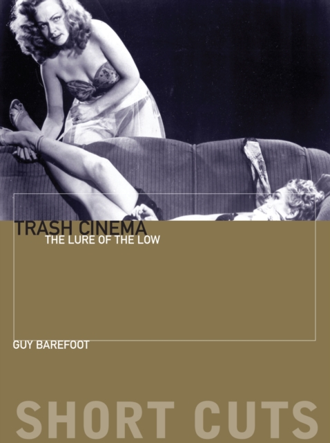 Trash Cinema : The Lure of the Low, EPUB eBook