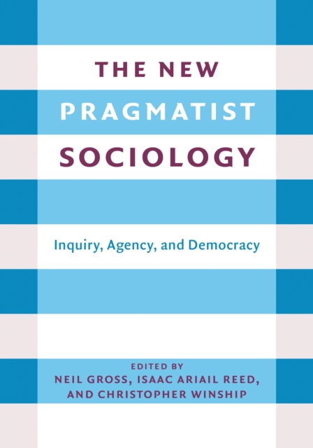 The New Pragmatist Sociology : Inquiry, Agency, and Democracy, EPUB eBook