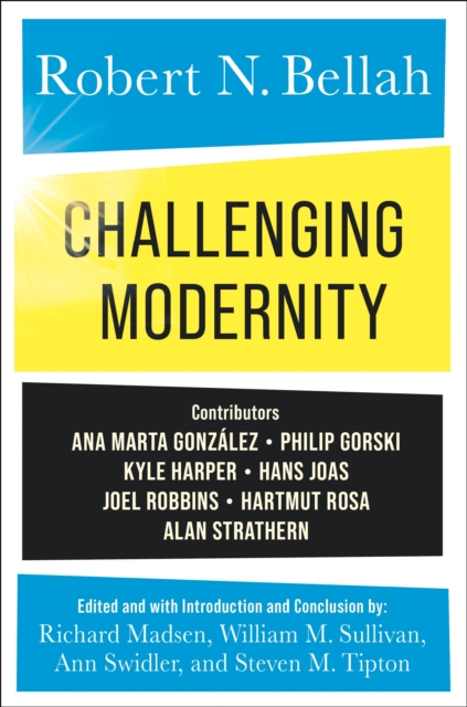 Challenging Modernity, EPUB eBook