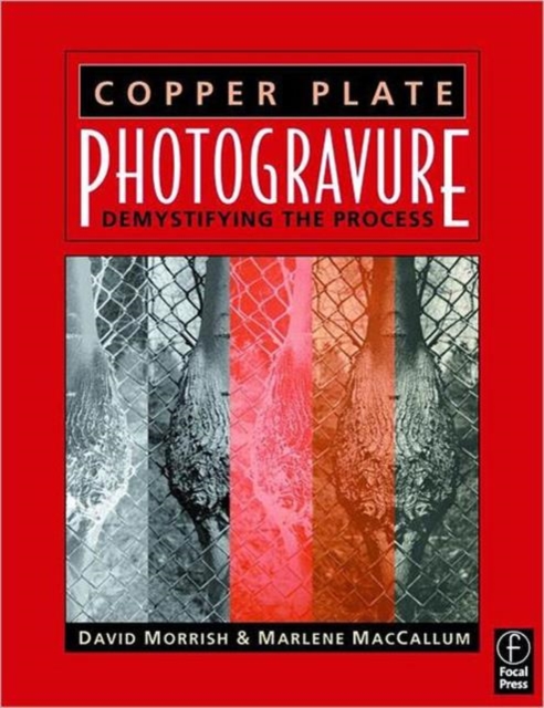 Copper Plate Photogravure : Demystifying the Process, Paperback / softback Book