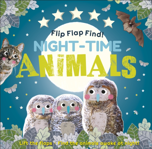 Flip Flap Find! Night-time Animals, Board book Book