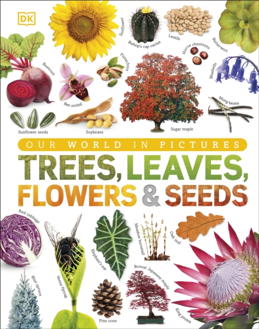 Our World in Pictures: Trees, Leaves, Flowers & Seeds : A visual encyclopedia of the plant kingdom, EPUB eBook