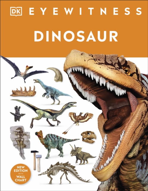 Dinosaur, Hardback Book