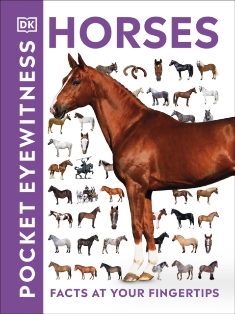Pocket Eyewitness Horses : Facts at Your Fingertips, EPUB eBook