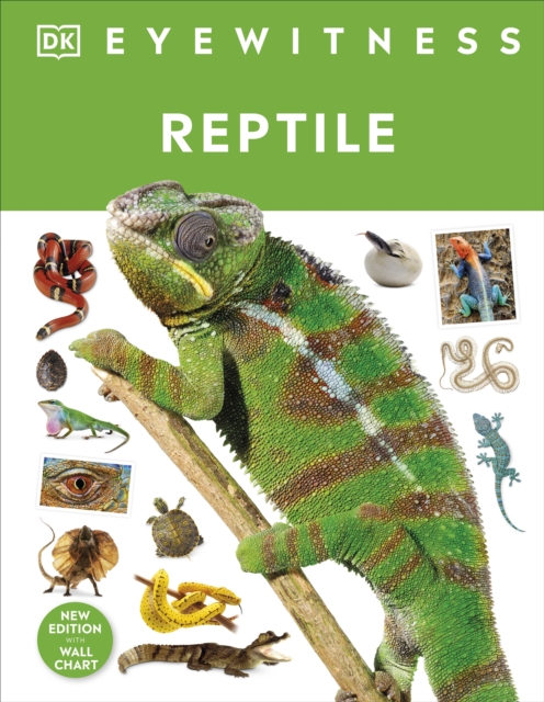 Reptile, Hardback Book