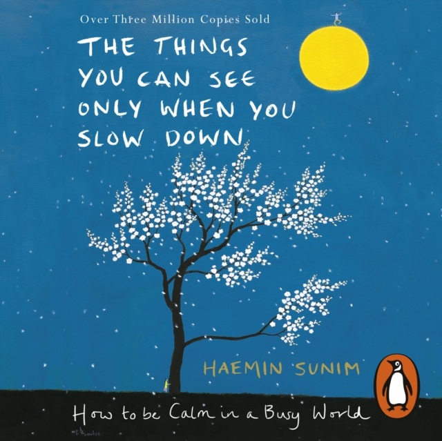 The Things You Can See Only When You Slow Down : How to be Calm in a Busy World, eAudiobook MP3 eaudioBook