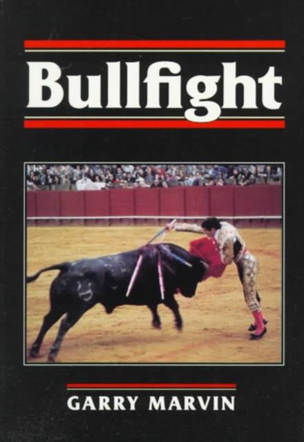 BULLFIGHT, Paperback / softback Book