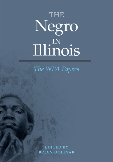 The Negro in Illinois : The WPA Papers, EPUB eBook
