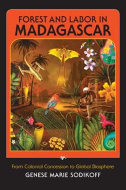 Forest and Labor in Madagascar : From Colonial Concession to Global Biosphere, Hardback Book