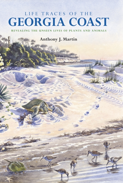 Life Traces of the Georgia Coast : Revealing the Unseen Lives of Plants and Animals, PDF eBook