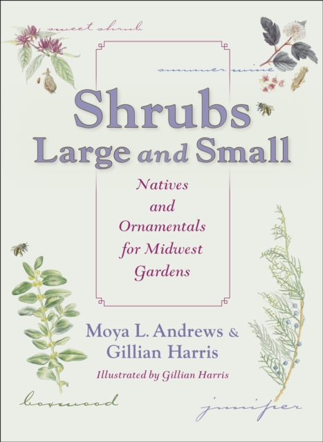 Shrubs Large and Small : Natives and Ornamentals for Midwest Gardens, EPUB eBook