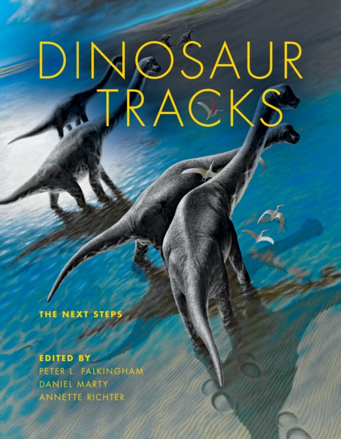 Dinosaur Tracks : The Next Steps, Hardback Book