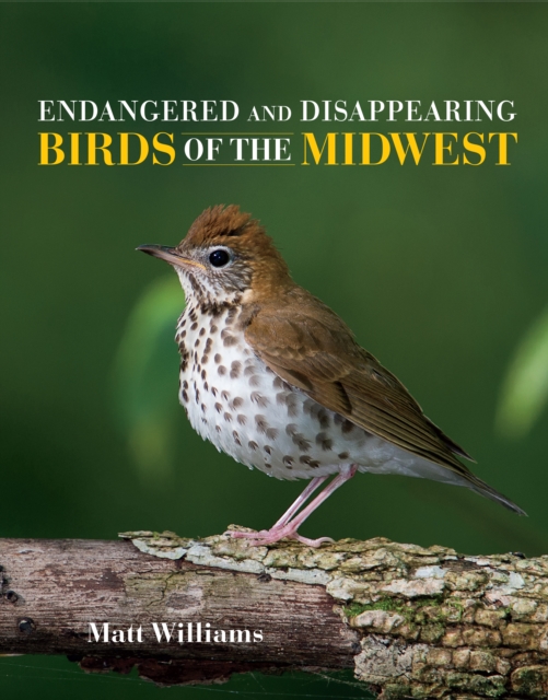 Endangered and Disappearing Birds of the Midwest, PDF eBook