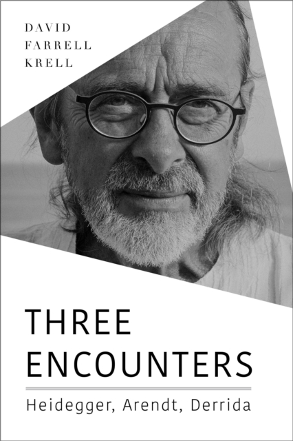 Three Encounters : Heidegger, Arendt, Derrida, Hardback Book
