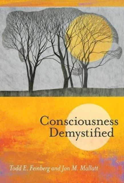 Consciousness Demystified, Hardback Book