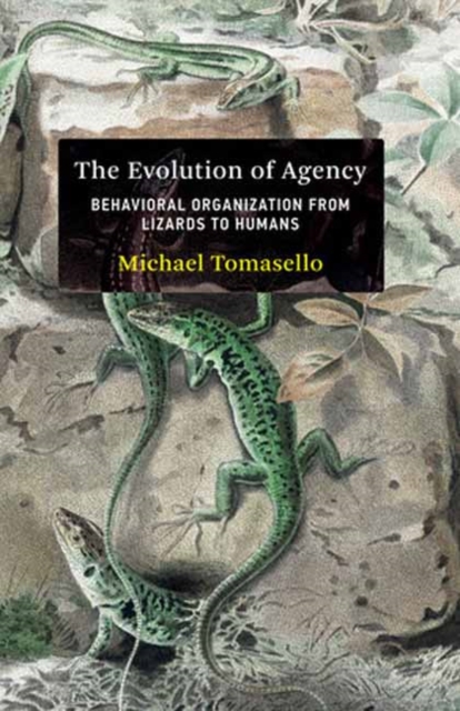 The Evolution of Agency : Behavioral Organization from Lizards to Humans, Hardback Book