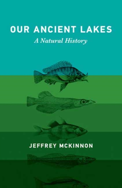 Our Ancient Lakes : A Natural History, Hardback Book