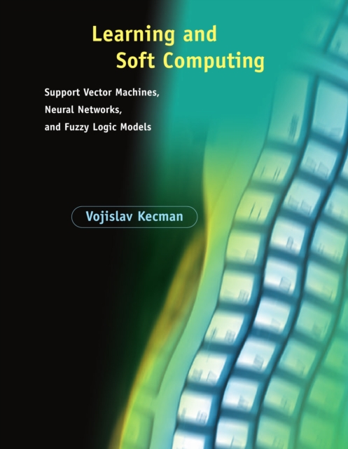 Learning and Soft Computing : Support Vector Machines, Neural Networks, and Fuzzy Logic Models, PDF eBook