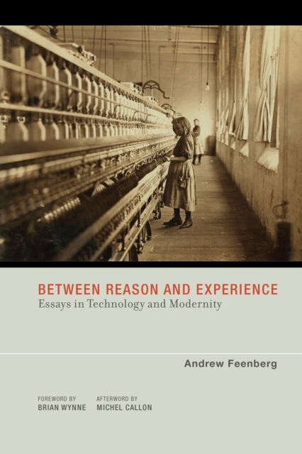 Between Reason and Experience : Essays in Technology and Modernity, PDF eBook