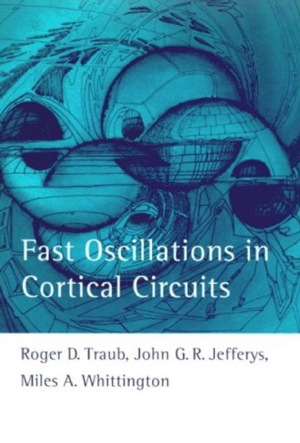 Fast Oscillations in Cortical Circuits, PDF eBook