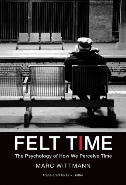 Felt Time : The Psychology of How We Perceive Time, PDF eBook