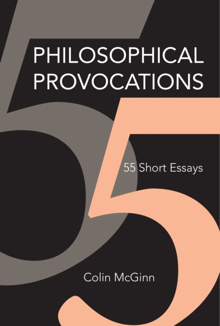 Philosophical Provocations : 55 Short Essays, PDF eBook