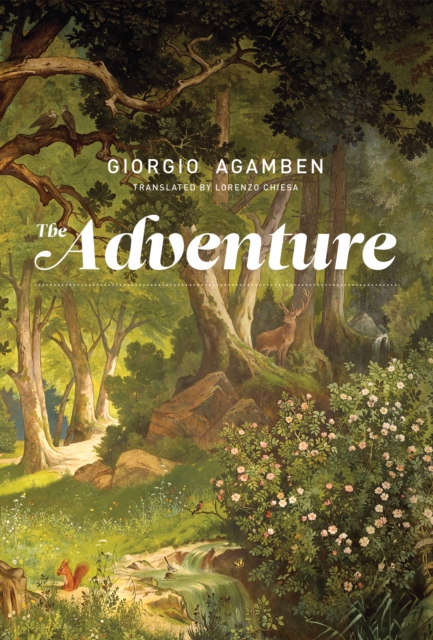 The Adventure, PDF eBook